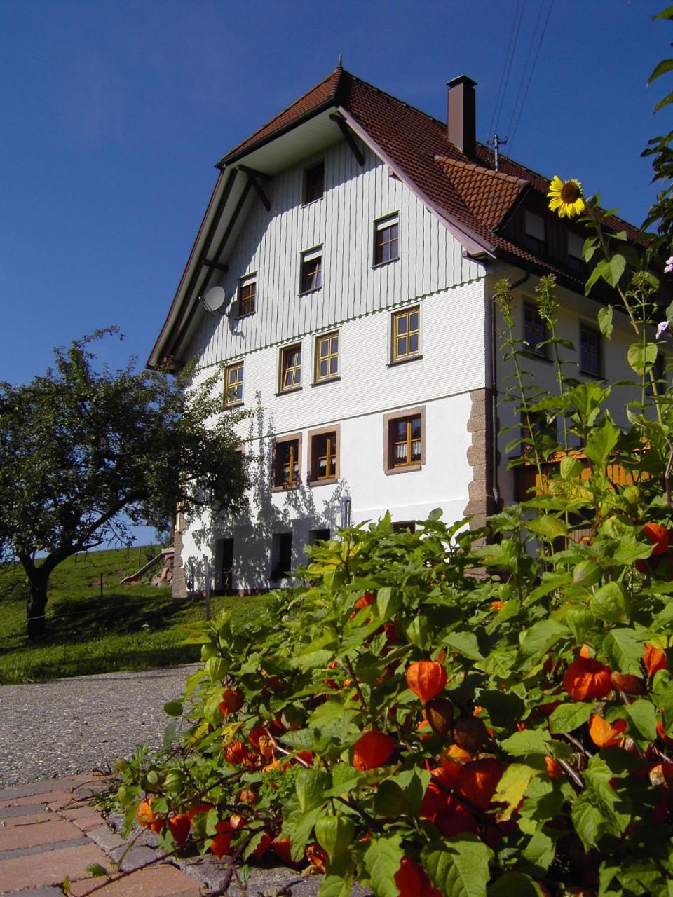 Fehrenbacherhof Naturgaestehaus เลาเทอร์บาค ภายนอก รูปภาพ