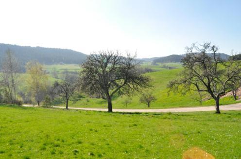 Fehrenbacherhof Naturgaestehaus เลาเทอร์บาค ภายนอก รูปภาพ